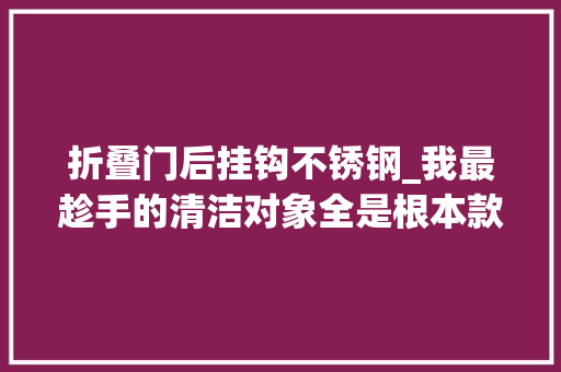 折叠门后挂钩不锈钢_我最趁手的清洁对象全是根本款却让我住了7年的家窗明几净