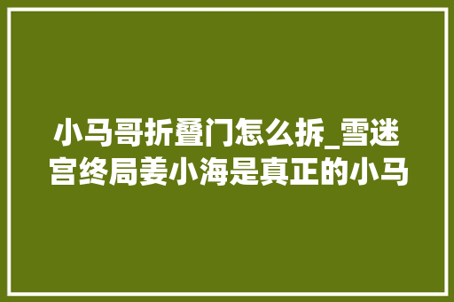 小马哥折叠门怎么拆_雪迷宫终局姜小海是真正的小马哥这个反转存在两处严重的bug