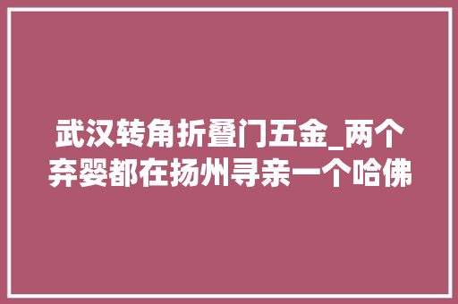 武汉转角折叠门五金_两个弃婴都在扬州寻亲一个哈佛卒业一个硕博连读