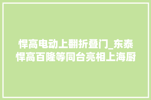 悍高电动上翻折叠门_东泰悍高百隆等同台亮相上海厨卫展五金未来谁主沉浮