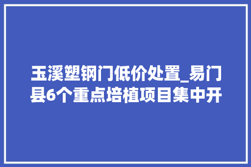 玉溪塑钢门低价处置_易门县6个重点培植项目集中开工