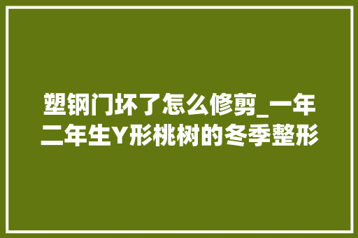 塑钢门坏了怎么修剪_一年二年生Y形桃树的冬季整形修剪技能