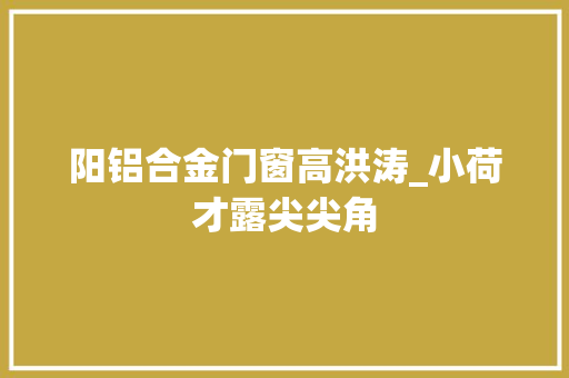 阳铝合金门窗高洪涛_小荷才露尖尖角