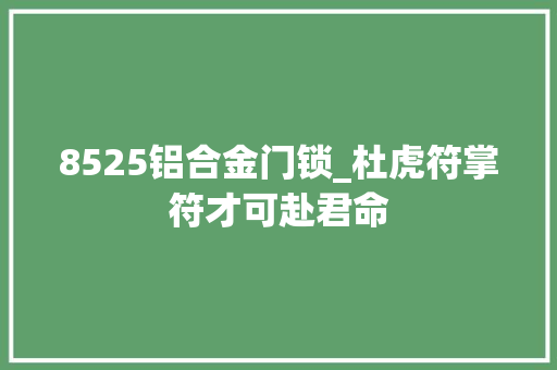 8525铝合金门锁_杜虎符掌符才可赴君命