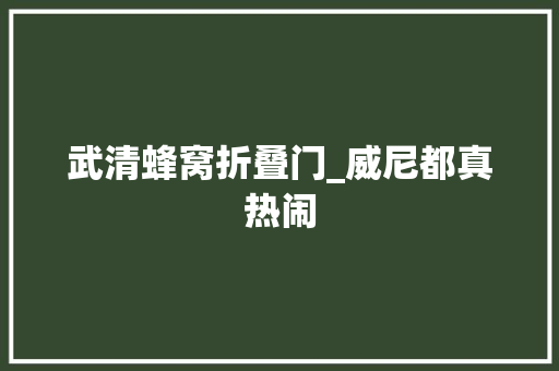 武清蜂窝折叠门_威尼都真热闹