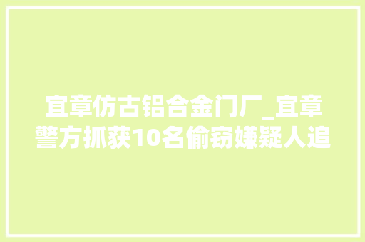 宜章仿古铝合金门厂_宜章警方抓获10名偷窃嫌疑人追回被盗摩托车3辆