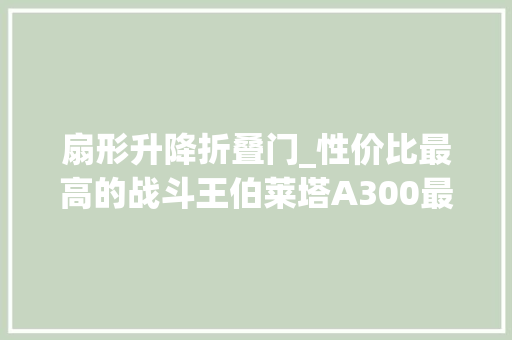 扇形升降折叠门_性价比最高的战斗王伯莱塔A300最终巡警霰弹枪