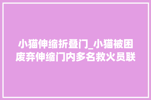 小猫伸缩折叠门_小猫被困废弃伸缩门内多名救火员联手将其救出