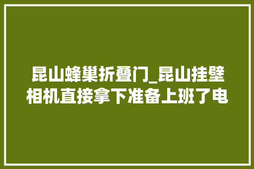 昆山蜂巢折叠门_昆山挂壁相机直接拿下准备上班了电子厂