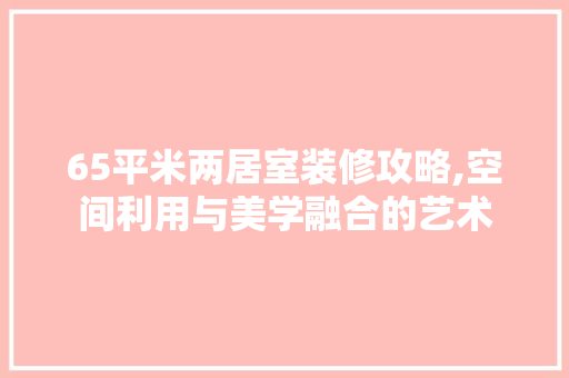 65平米两居室装修攻略,空间利用与美学融合的艺术
