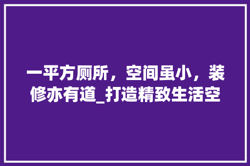 一平方厕所，空间虽小，装修亦有道_打造精致生活空间