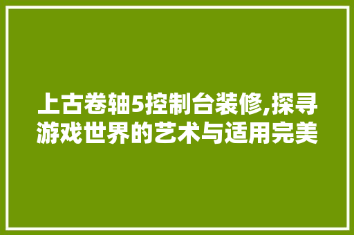 上古卷轴5控制台装修,探寻游戏世界的艺术与适用完美融合