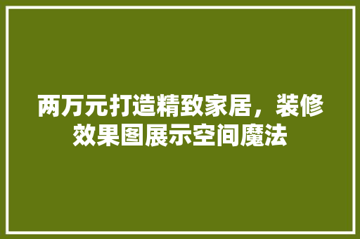 两万元打造精致家居，装修效果图展示空间魔法