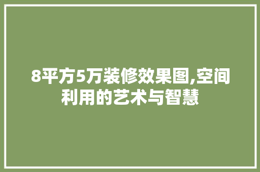 8平方5万装修效果图,空间利用的艺术与智慧