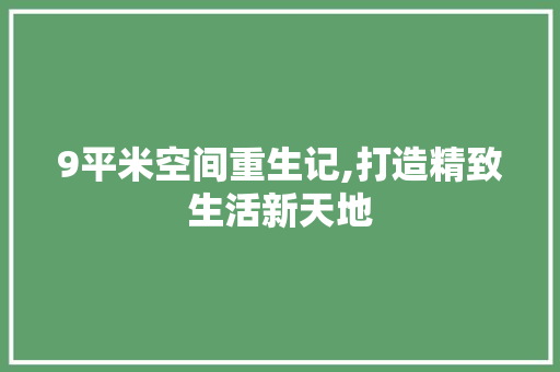 9平米空间重生记,打造精致生活新天地
