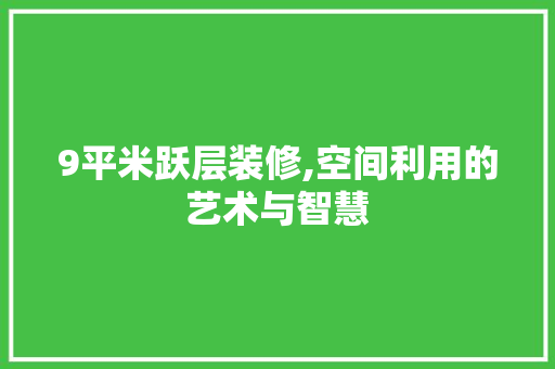 9平米跃层装修,空间利用的艺术与智慧