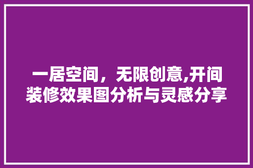 一居空间，无限创意,开间装修效果图分析与灵感分享