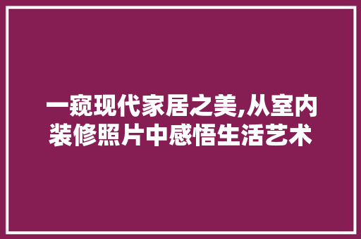 一窥现代家居之美,从室内装修照片中感悟生活艺术