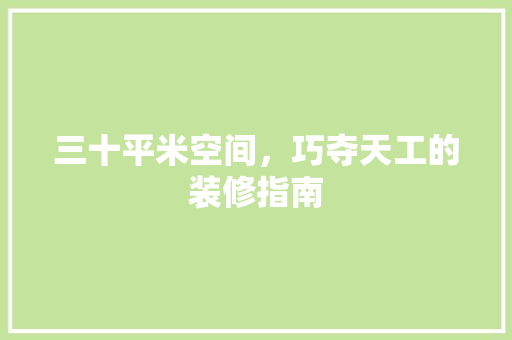 三十平米空间，巧夺天工的装修指南
