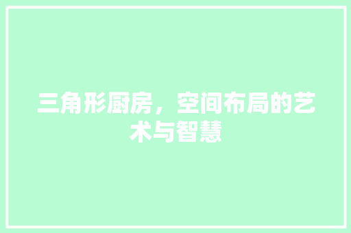 三角形厨房，空间布局的艺术与智慧