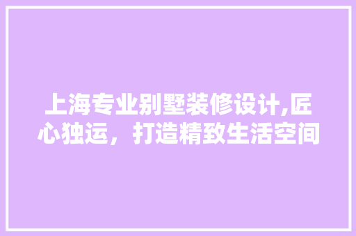 上海专业别墅装修设计,匠心独运，打造精致生活空间
