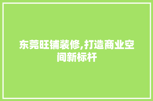 东莞旺铺装修,打造商业空间新标杆
