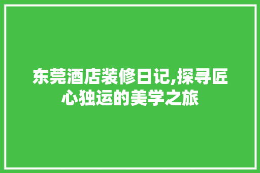 东莞酒店装修日记,探寻匠心独运的美学之旅