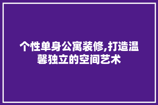 个性单身公寓装修,打造温馨独立的空间艺术
