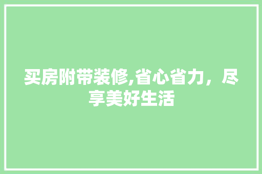 买房附带装修,省心省力，尽享美好生活