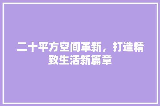 二十平方空间革新，打造精致生活新篇章