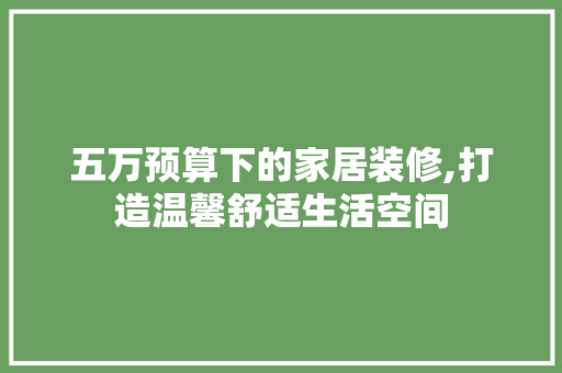 五万预算下的家居装修,打造温馨舒适生活空间