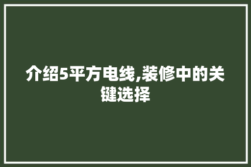 介绍5平方电线,装修中的关键选择