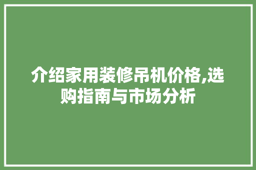 介绍家用装修吊机价格,选购指南与市场分析