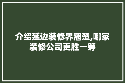介绍延边装修界翘楚,哪家装修公司更胜一筹