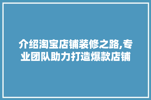 介绍淘宝店铺装修之路,专业团队助力打造爆款店铺