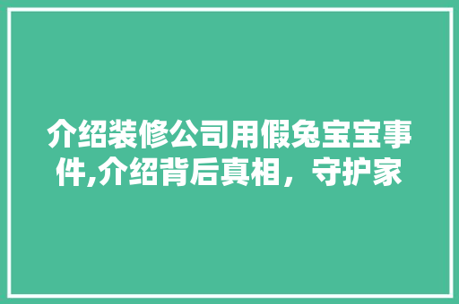 介绍装修公司用假兔宝宝事件,介绍背后真相，守护家居安全