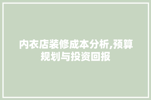 内衣店装修成本分析,预算规划与投资回报