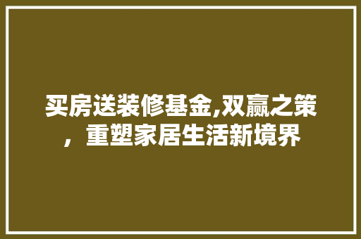 买房送装修基金,双赢之策，重塑家居生活新境界