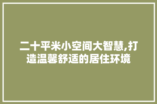 二十平米小空间大智慧,打造温馨舒适的居住环境
