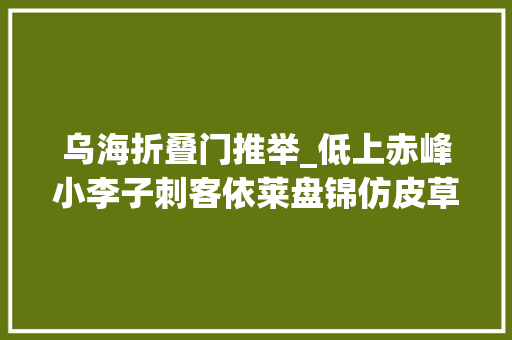乌海折叠门推举_低上赤峰小李子刺客依莱盘锦仿皮草外套短款阳泉针织毛衣衫雪闲机京公司