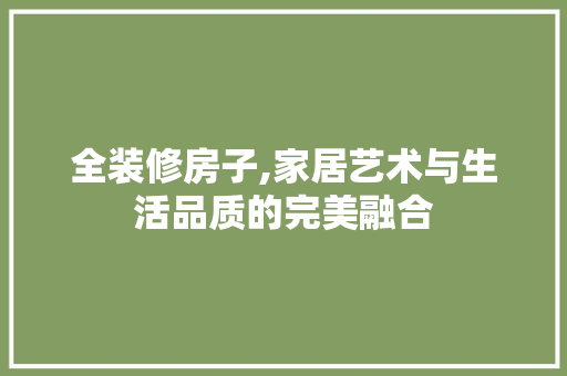 全装修房子,家居艺术与生活品质的完美融合