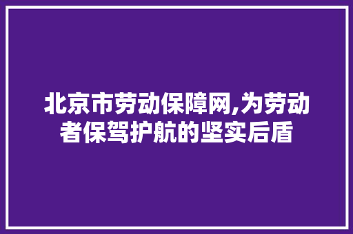 北京市劳动保障网,为劳动者保驾护航的坚实后盾
