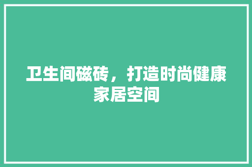 卫生间磁砖，打造时尚健康家居空间
