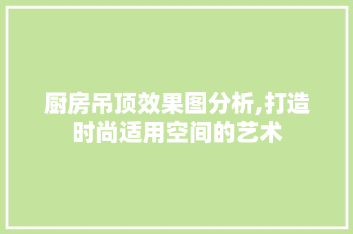 厨房吊顶效果图分析,打造时尚适用空间的艺术