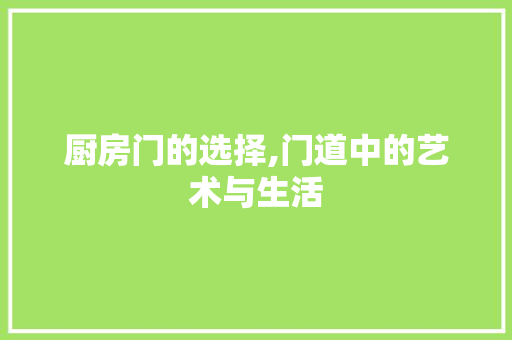 厨房门的选择,门道中的艺术与生活