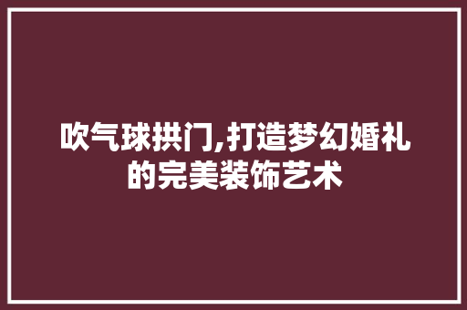 吹气球拱门,打造梦幻婚礼的完美装饰艺术