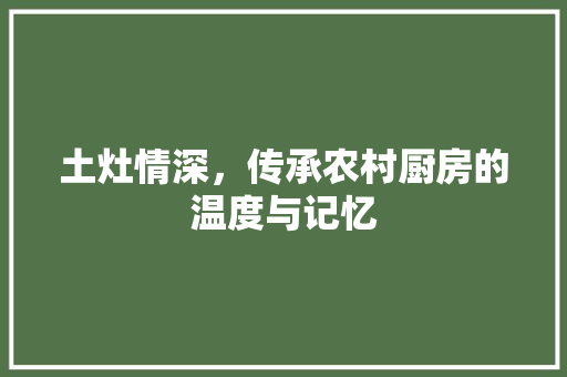 土灶情深，传承农村厨房的温度与记忆