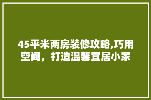 45平米两房装修攻略,巧用空间，打造温馨宜居小家