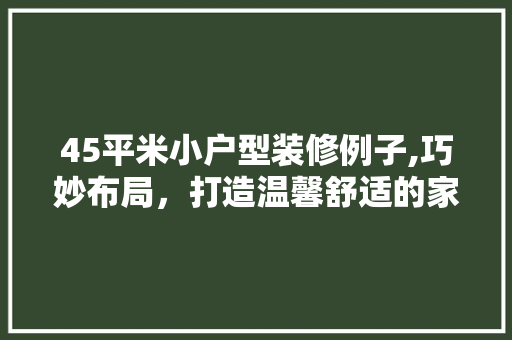 45平米小户型装修例子,巧妙布局，打造温馨舒适的家