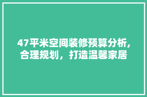 47平米空间装修预算分析,合理规划，打造温馨家居